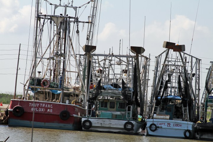 LostFile_JPG_184146348