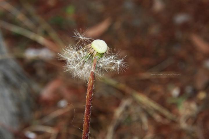 410966_485399364840079_1131552028_o