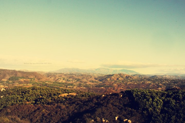 665033_457226857657330_1899953553_o