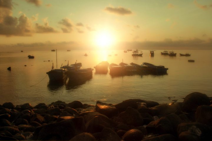 13640973_876741002459893_5355366679239603390_o